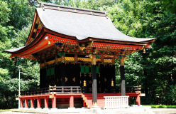 Muza chan's Japan Photo Gallery